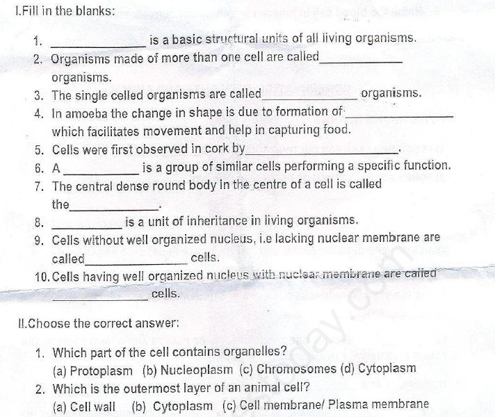 cbse-class-8-science-cell-structure-and-functions-assignment-set-d